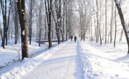 Zaśnieżona alejka parkowa, na niej dwie osoby, obok drzewa